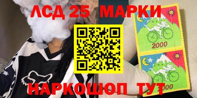СК Кандалакша